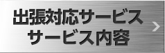 出張対応サービス・サービス内容